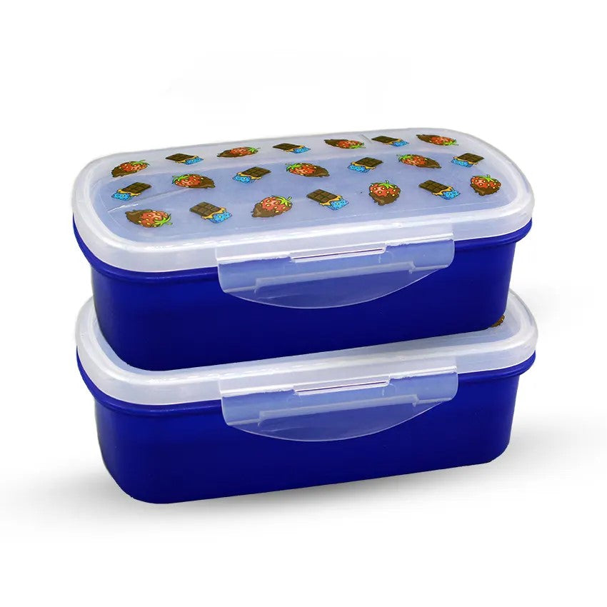BENTO LUNCH BOX M-2 (PACK OF 2)