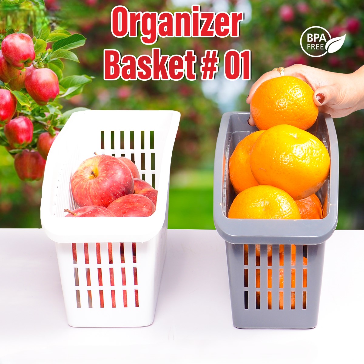 ORGANIZER BASKET-1