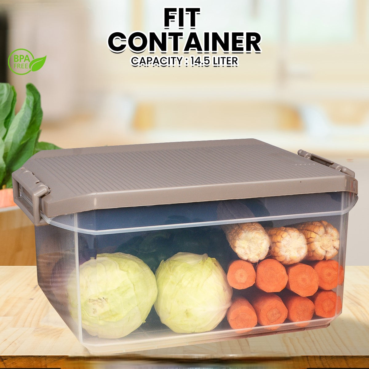 FIT CONTAINER (LARGE)