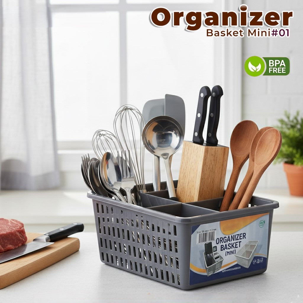 ORGANIZER MINI-1
