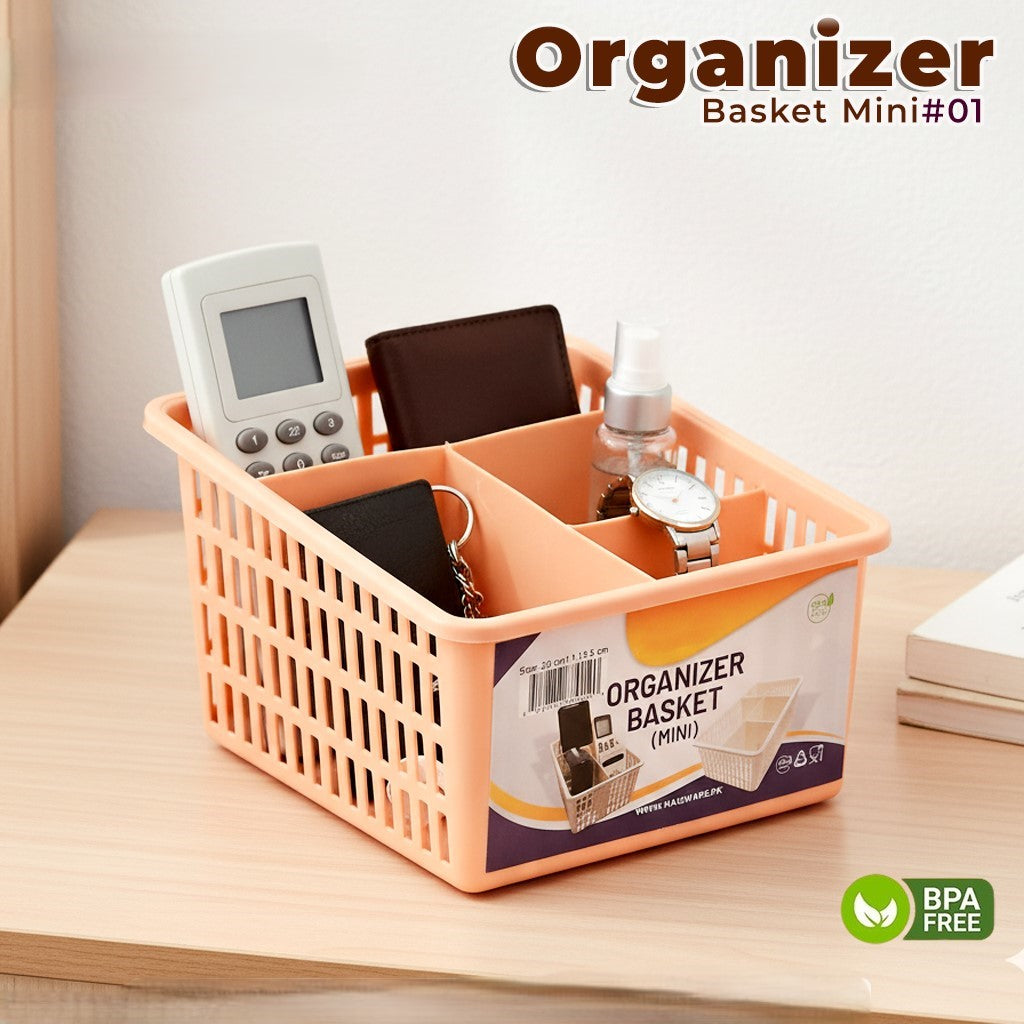 ORGANIZER MINI-1