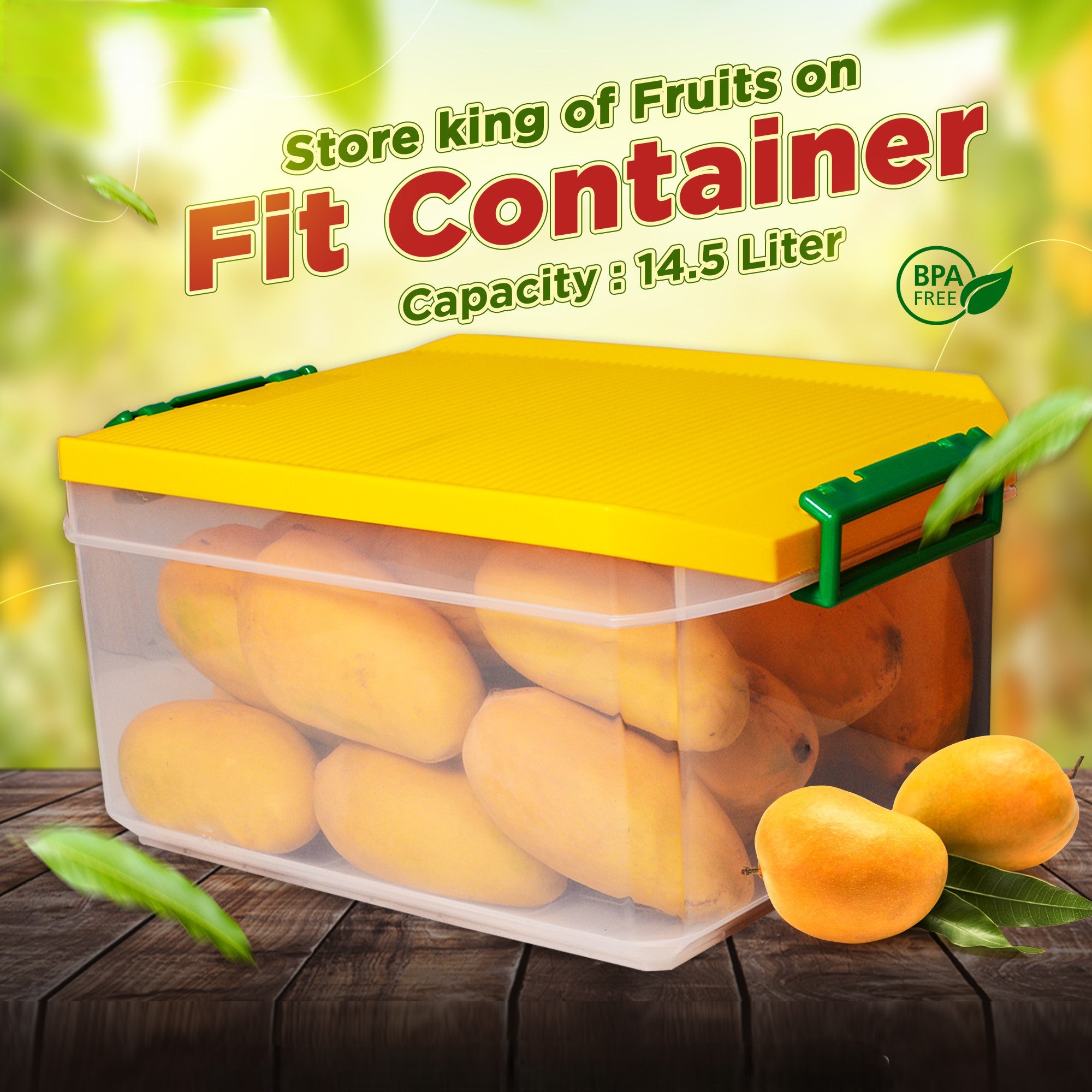 FIT CONTAINER (LARGE)