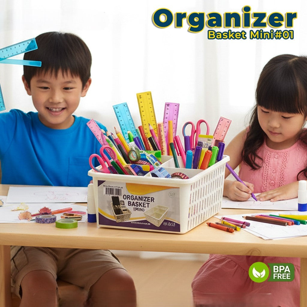 ORGANIZER MINI-1