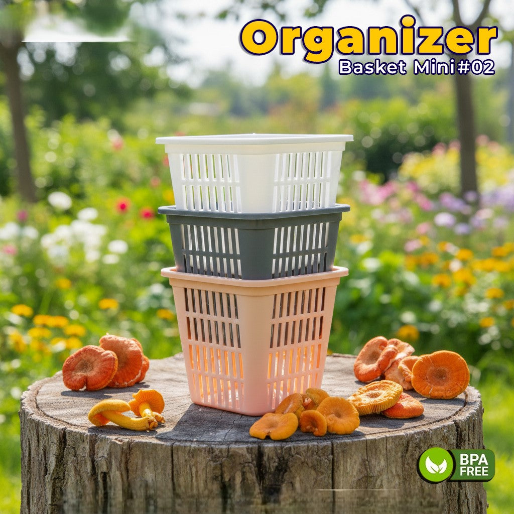 ORGANIZER MINI-2